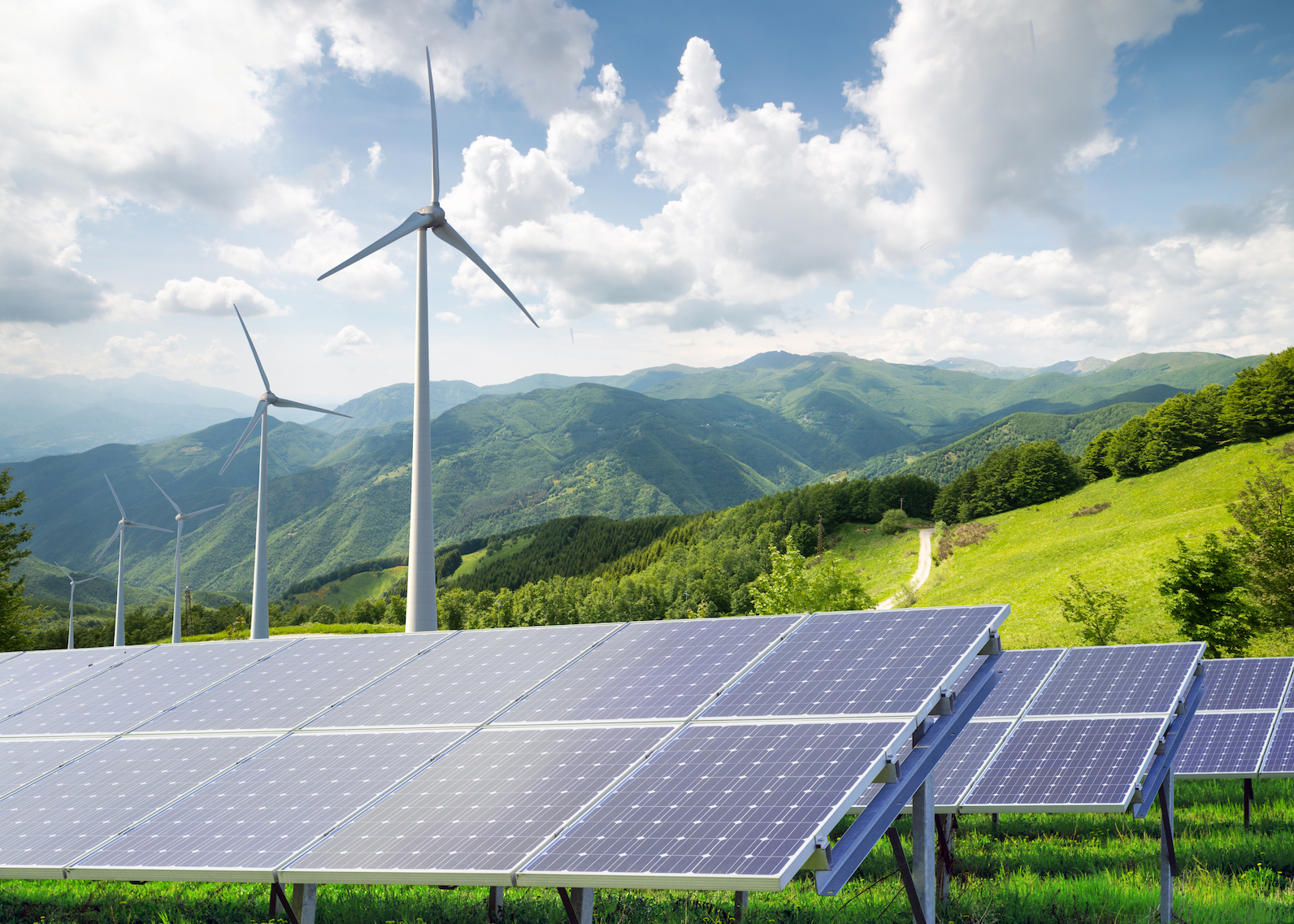 Renewable Energy Trivia